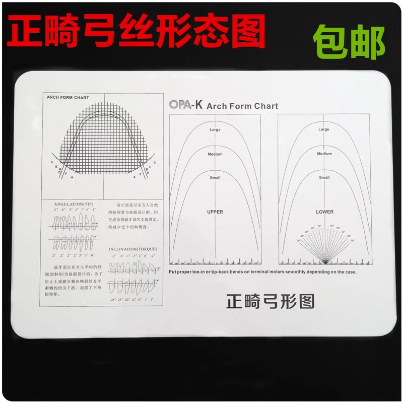牙科口腔标准正畸弓形图
