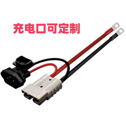50A120A电瓶电池充放两用线