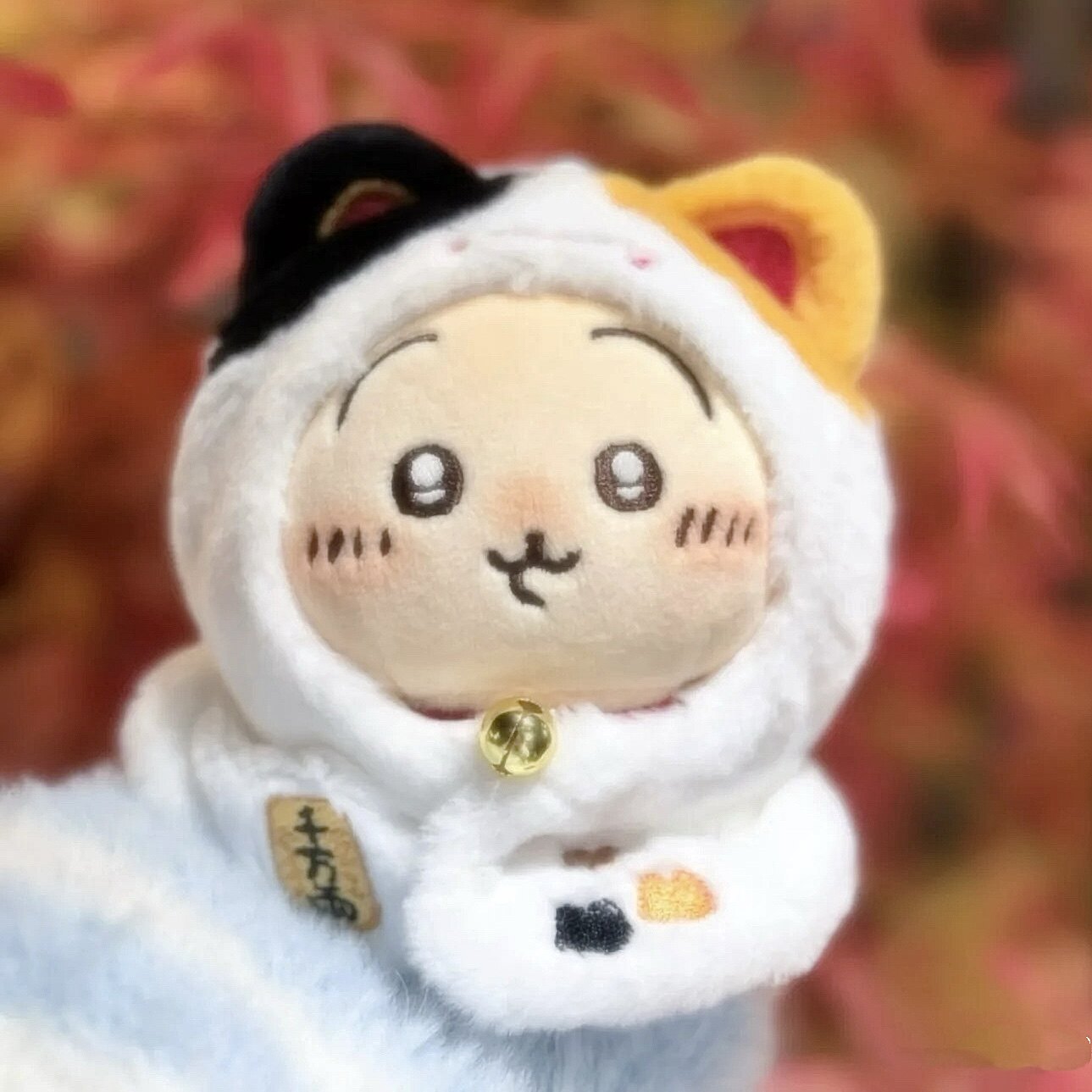 日本chiikawa乌萨奇招财猫斗篷耳朵娃衣挂件小八玩偶吉伊三花猫