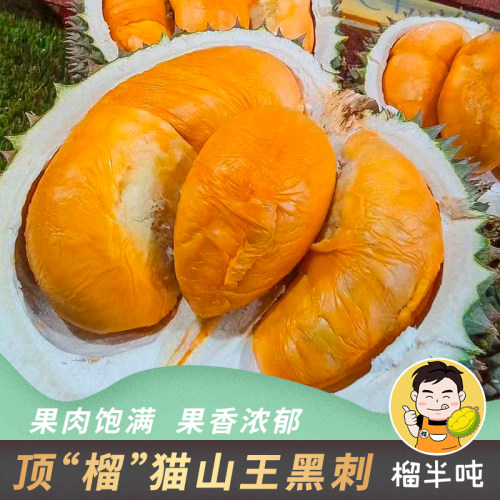 马来西亚D200黑刺榴莲保5房AA果高端礼品纯天然树熟女性佳品