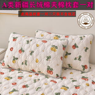 A类100%全棉夹棉枕套48X74cm一对二只装 防枕芯发黄枕芯内胆套单人