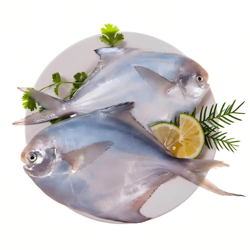 白鲳鱼银鲳鱼冷冻海捕鲜活昌鱼平鱼鳊鱼海鱼非金鲳烧烤食堂商用