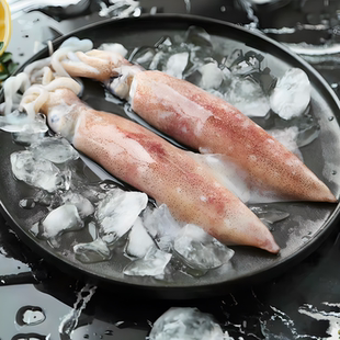 海捕印尼灯光红鱿鱼火箭鱿鱼一口笔管东山舟山小管小海兔商用包邮