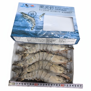 喜隽黑虎虾1-2草虾青明虾8头大明虾800g海捕大老虎虾九节虾包邮