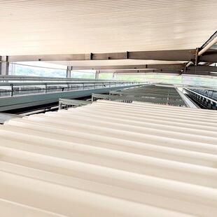 夹芯保温板外墙泡沫板隔热防腐塑钢瓦畜牧养殖场隔墙吊顶屋面专用