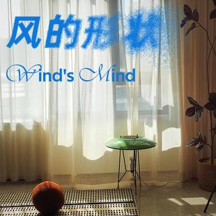 轻奢窗轻盈白纱现代落地窗飘窗阳台书房 帘目 风 形状 法式