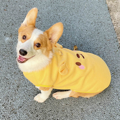 啵啵狗狗狗华夫格可爱萌趣保暖