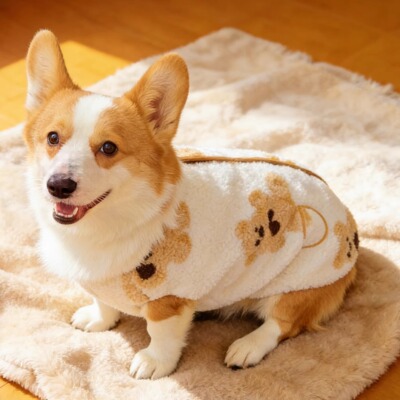 可爱摇粒绒小熊马甲加绒