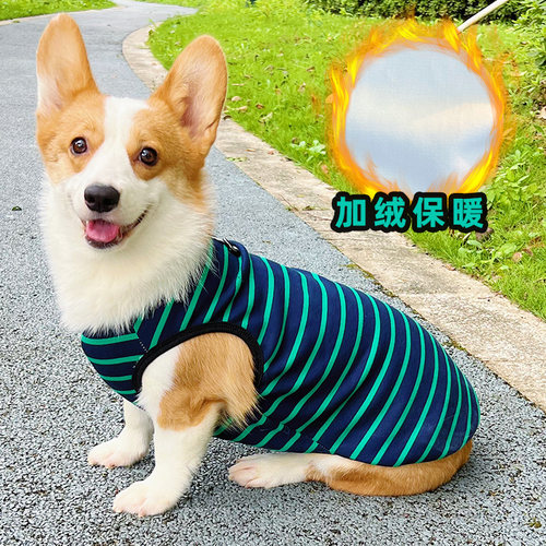 啵啵狗狗狗棉质简约休闲保暖加绒