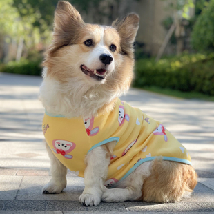 狗狗衣服秋冬加绒保暖柴犬柯基泰迪比熊可爱中小型犬宠物幼犬冬天