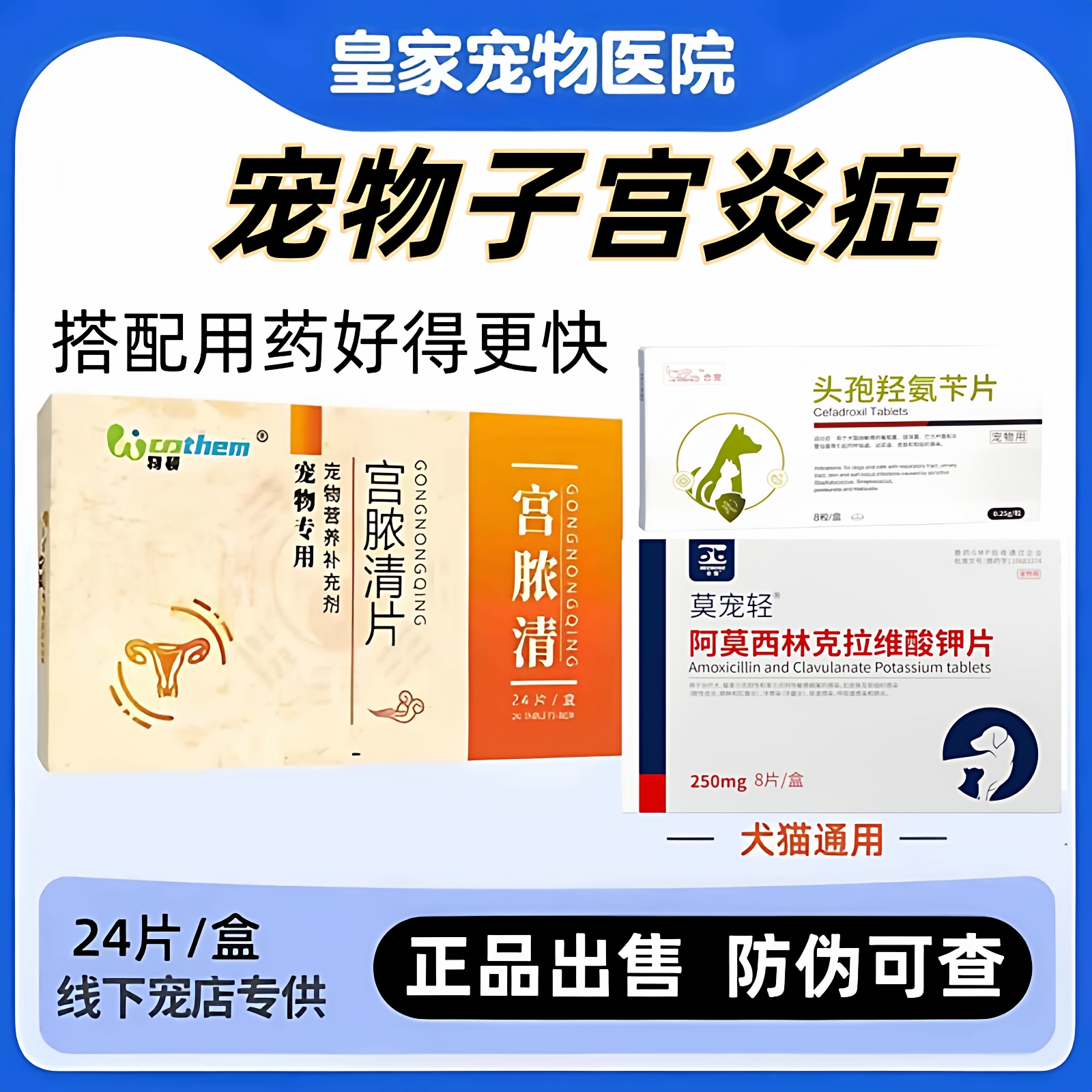 宫脓清片宠物狗狗猫咪子宫蓄脓