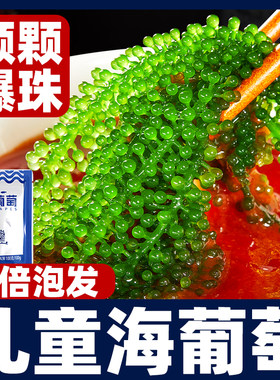 海葡萄即食新鲜盐渍海洋蔬菜植物海带海藻菜袋装鱼子酱凉拌菜食材