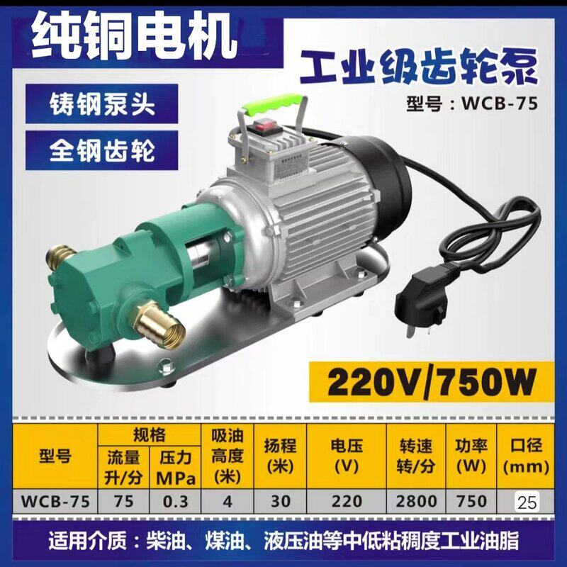 WCB便携式齿轮泵榨油机泵电动自吸抽油泵柴油机油泵菜籽油大豆油