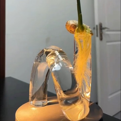 异形玻璃花瓶北欧风格饰品创意客厅插花瓶简约现代不规则异形ins