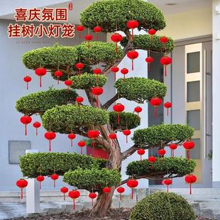 挂树上的小灯笼春节氛围布置新年树挂红色植绒迷你绿植盆景小挂饰