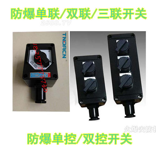 防爆双联开关 单联单控双联双控开关 三联开关 主令控制开关厂家