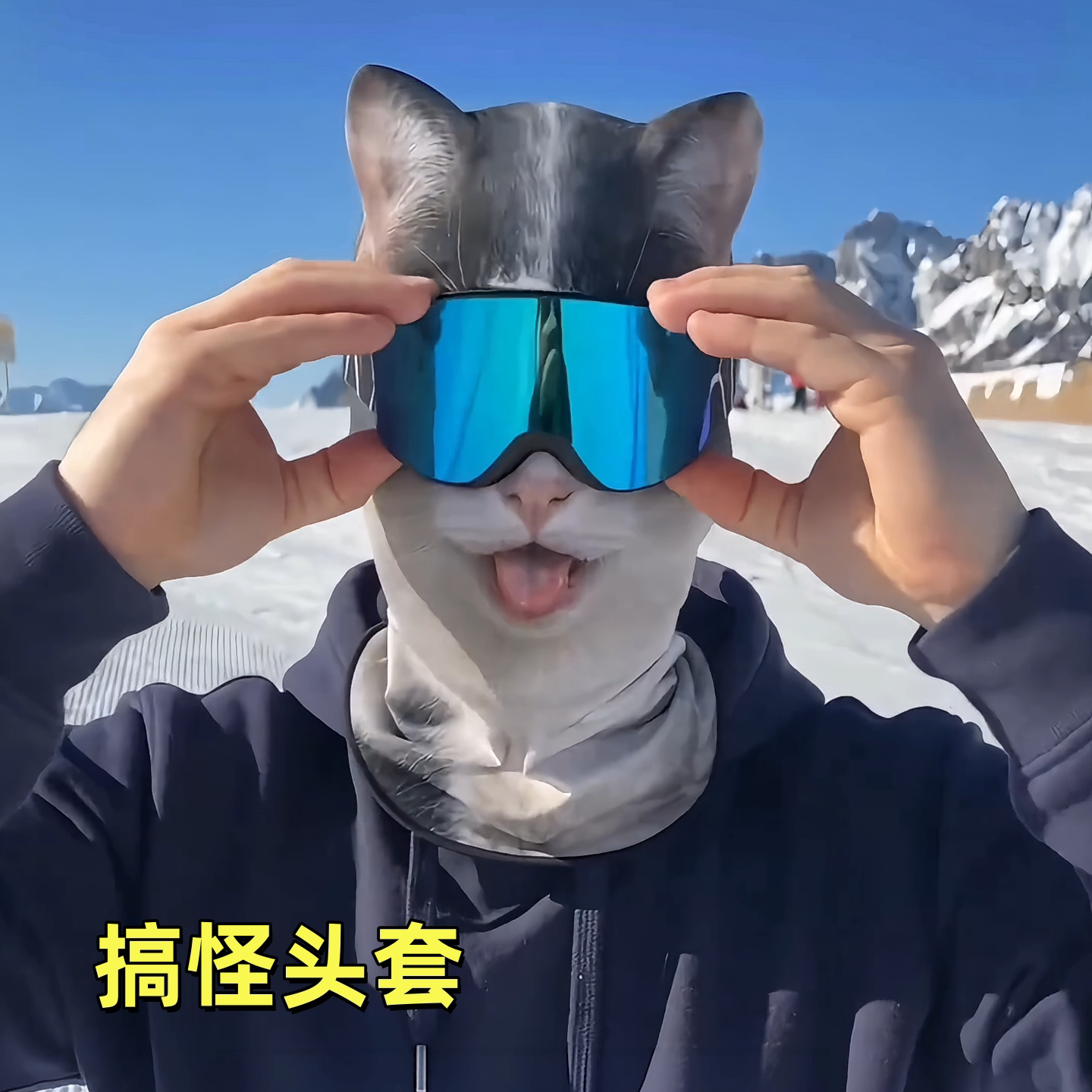 动物面罩脸基尼头套滑雪防风护脸全脸户外骑行3D印花猫咪狗狗搞怪