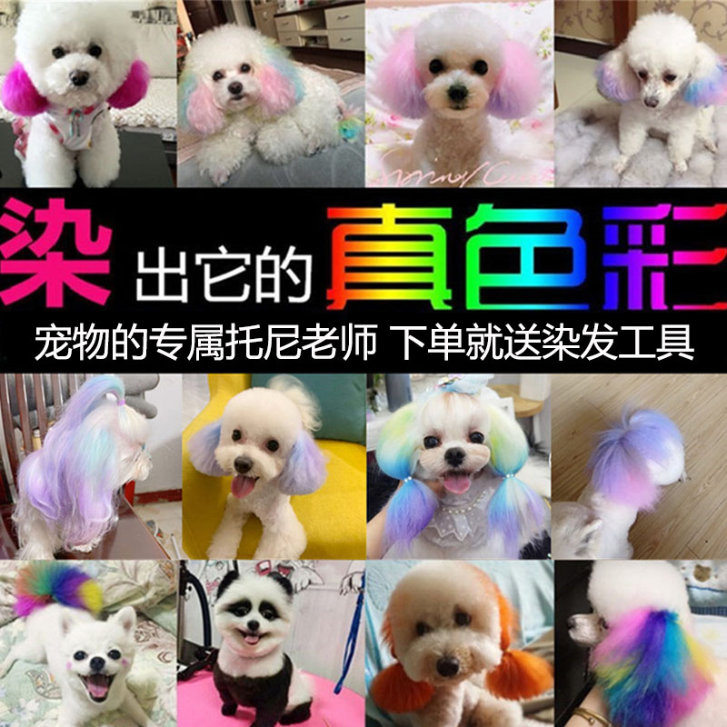 狗狗染发剂宠物专用持久不掉色猫咪染毛膏博美比熊美容漂白送工具