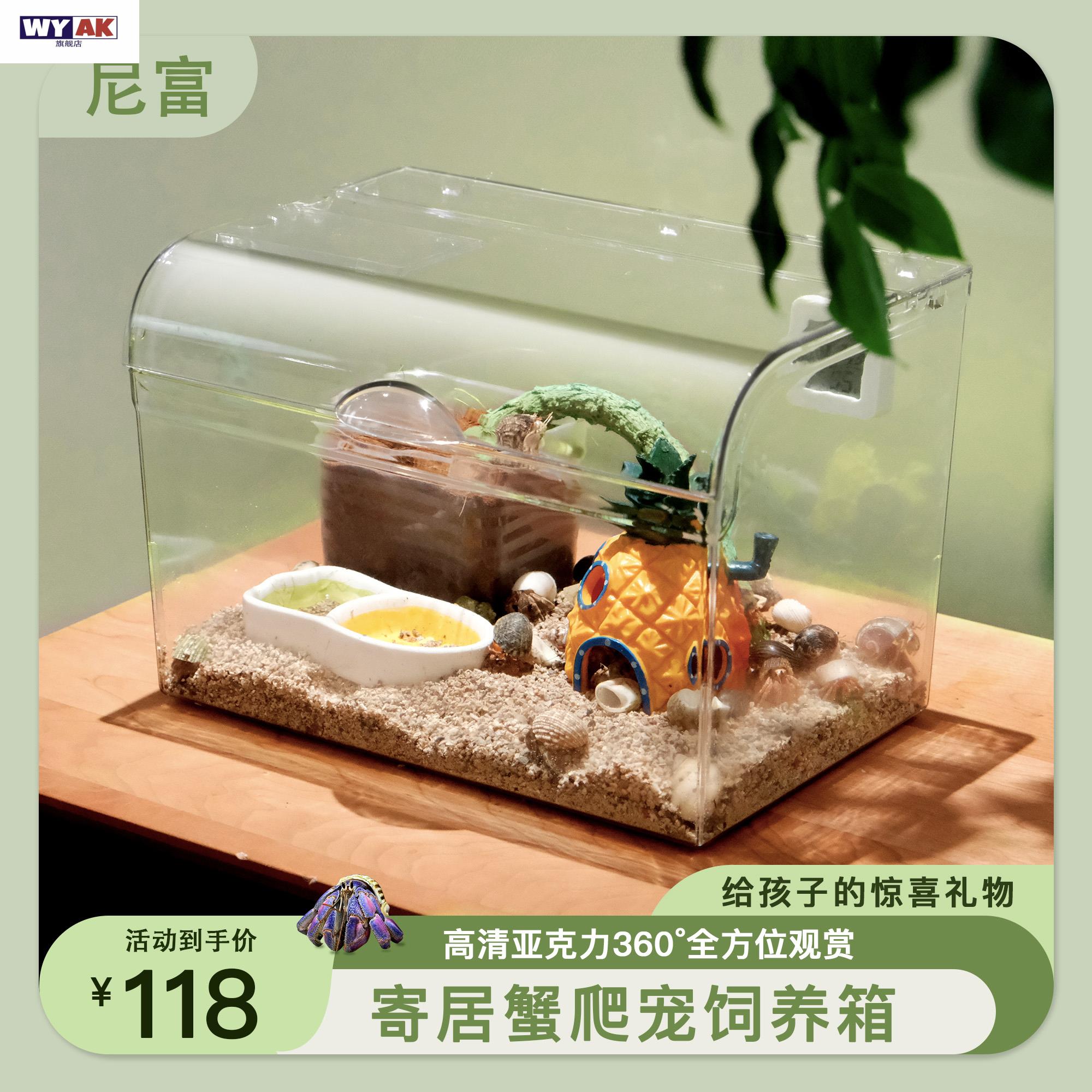寄居蟹宠物尼富饲养缸亚克力全透明爬宠新手饲养箱桌面饲养
