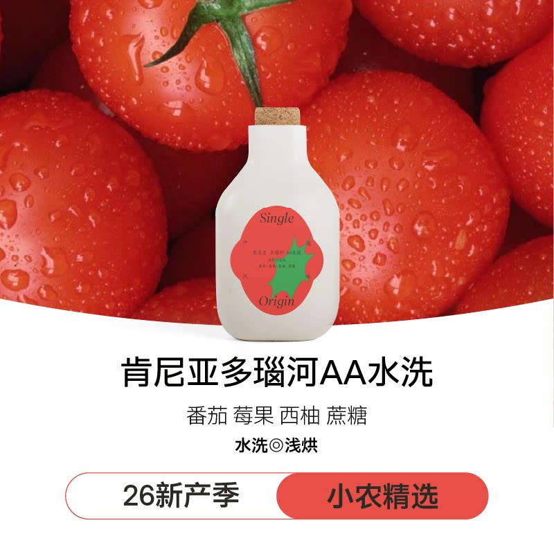 【iriscoffee】肯尼亚多瑙河AA水洗浅烘小番茄新鲜烘焙手冲咖啡豆