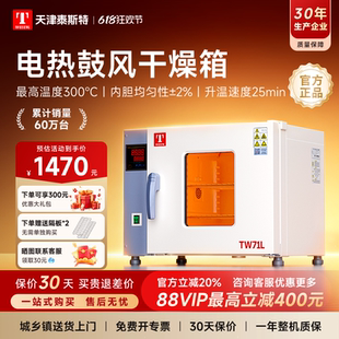 泰斯特电热鼓风干燥箱实验室烘箱工业烤箱电热鼓风恒温箱