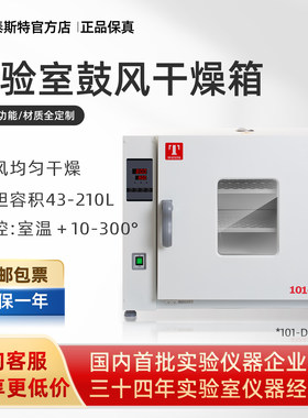 泰斯特干燥箱101-DB系列