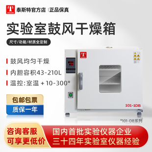 泰斯特烘箱电热鼓风干燥箱实验室用多功能恒温箱工业烤箱101-DB