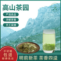 2023新茶毛尖茶叶信阳绿茶明前特级嫩芽A浓香型散装毛尖茶