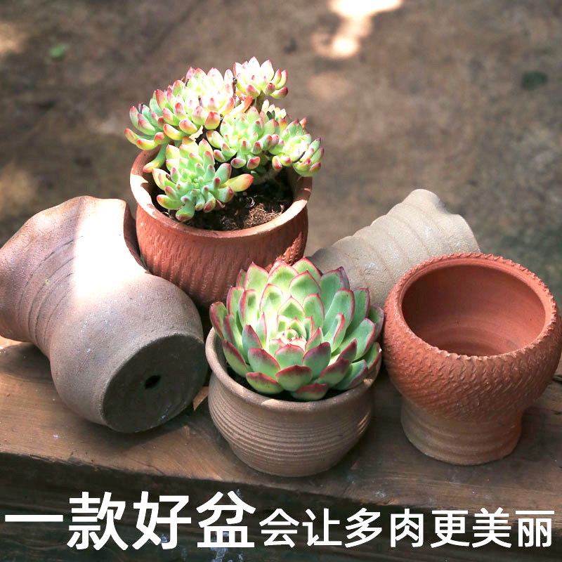 多肉植物中号花盆云南手工透气土粗陶百搭小老桩绿植盆栽特价