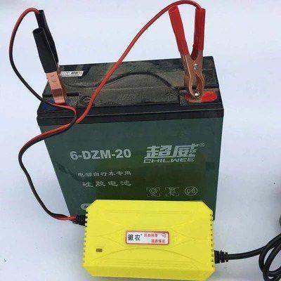 邮12v3a电瓶电动车摩托车充电器单个12v20ah12v32a电池干水通包