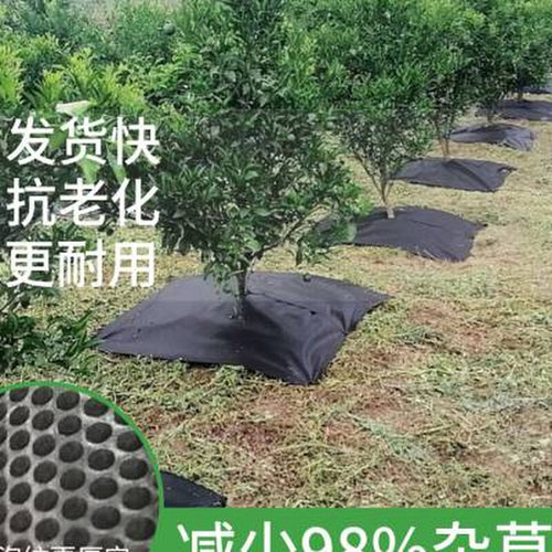 防草布除草布农用果园果树耐用抗老化全新料N园艺地布新型生态地o