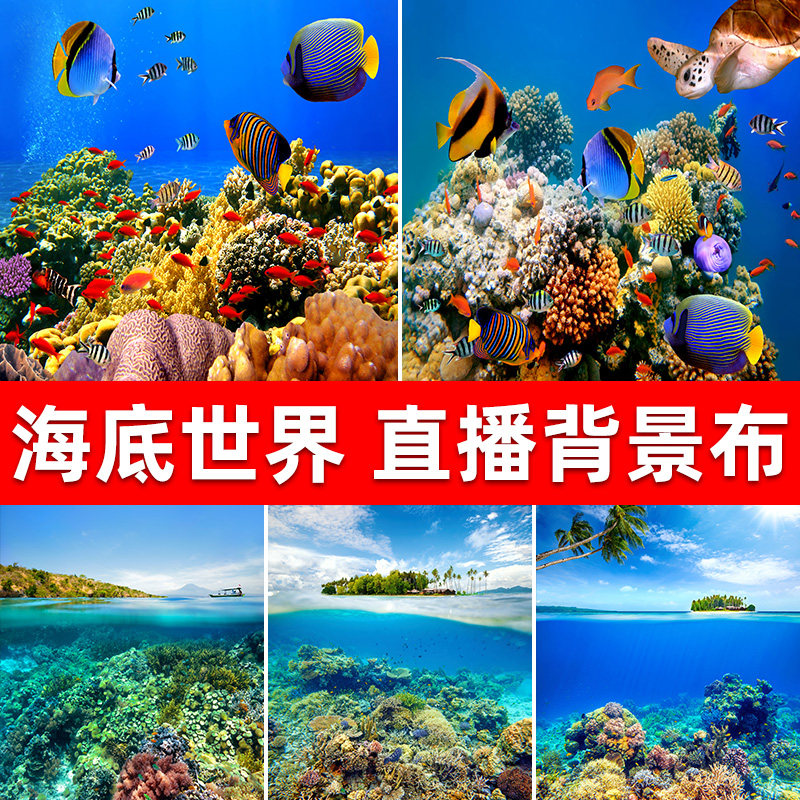 海底世界鱼类深海背景布3d立体直播背景墙图可移动风景直播间装饰墙纸