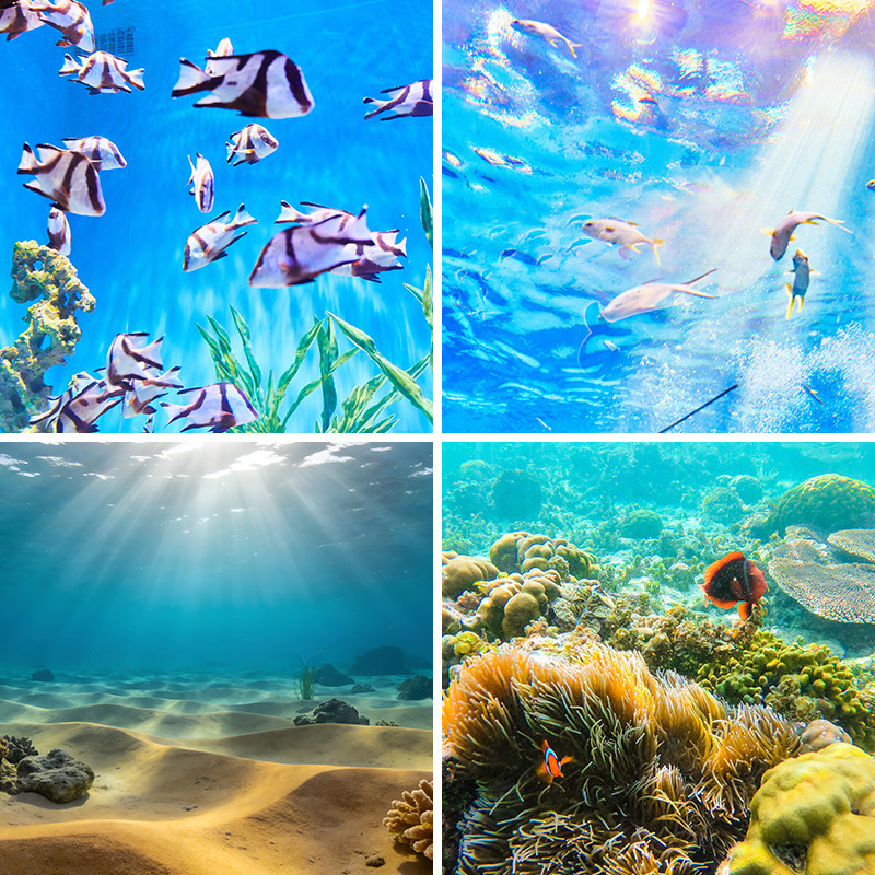 海底世界珊瑚鱼群直播背景布母婴店儿童摄影道具场景布置3d立体背景墙海洋壁纸画室内网红带货水产品抖音快手