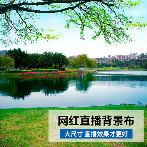 新款风景背景墙主播背景布3d直播间视频山水网红快手抖音装饰布竹林室外风景立体青山绿水