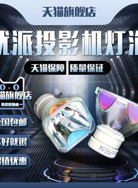 ViewSonic优派Pro9500/RLC-063/索拓ST-60X/ST-20X/ST-S210/ST-PX100W投影机仪灯泡