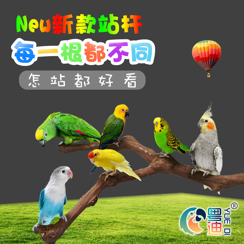 粤迪 葡萄木杆鸟站棍葡萄木笼内磨爪棒栖杠 鹦鹉鸟站杆