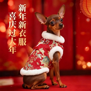 迷你杜宾小鹿犬专用马甲过新年喜庆衣服拜年服冬季冬天保暖吉娃娃