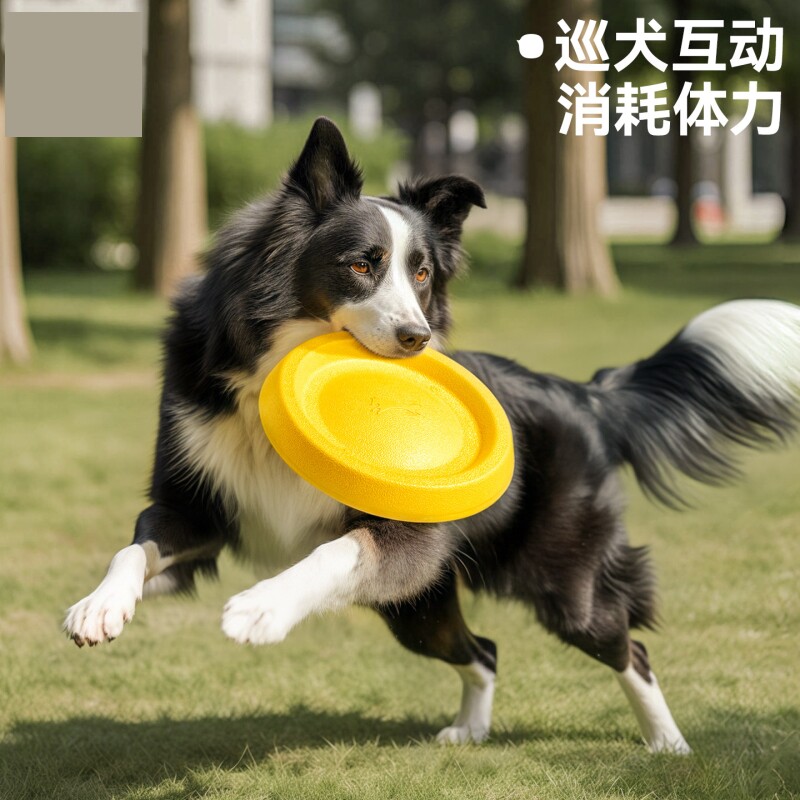 狗狗飞盘玩具可浮水边牧柯基中大型犬互动耐咬宠物软飞盘训练巡回