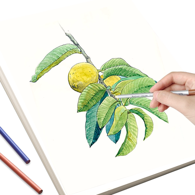 马克笔手抄报画画纸美术白卡纸