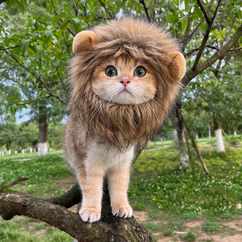 猫咪狮子头套小型犬狗狗帽子宠物可爱搞怪配饰网红狮子头套ins版