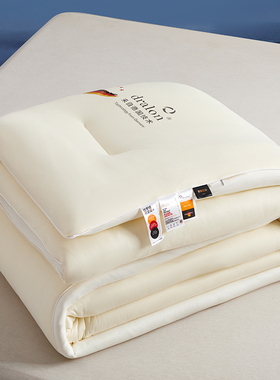 Y费斯巴赫德绒发热被保暖螺杆亲肤面料免被套抗菌防螨