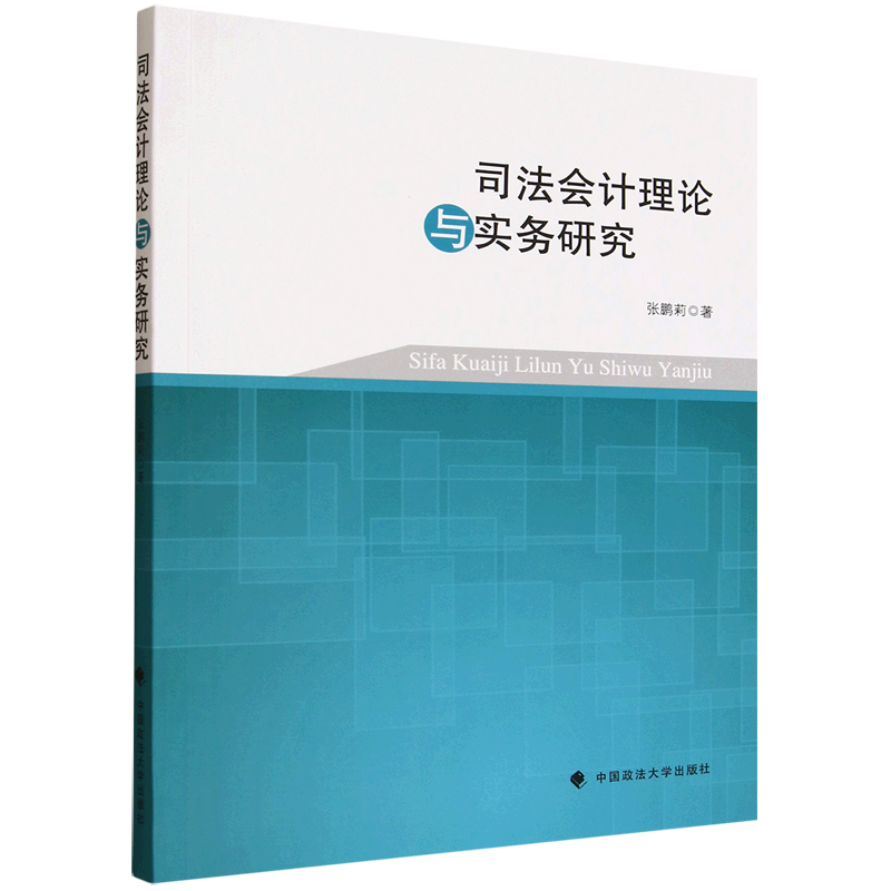 司法会计理论与实务研究