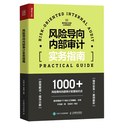 新华书店正版风险导向内部审计实务指南/普华审计实务工具书系列