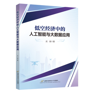 新华书店正版低空经济中的人工智能与大数据应用