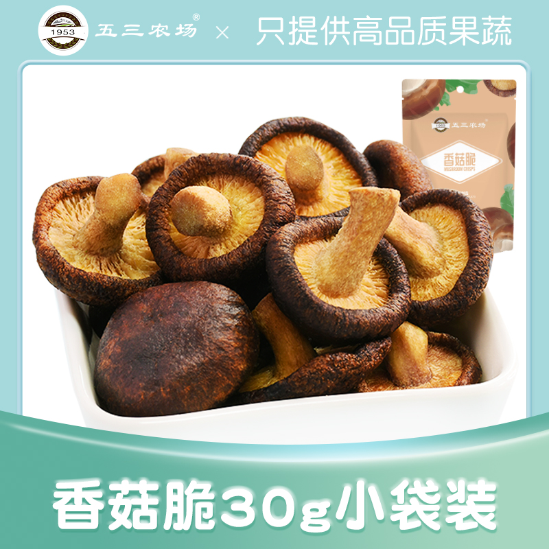 五三农场高温油炸办公室果蔬脆