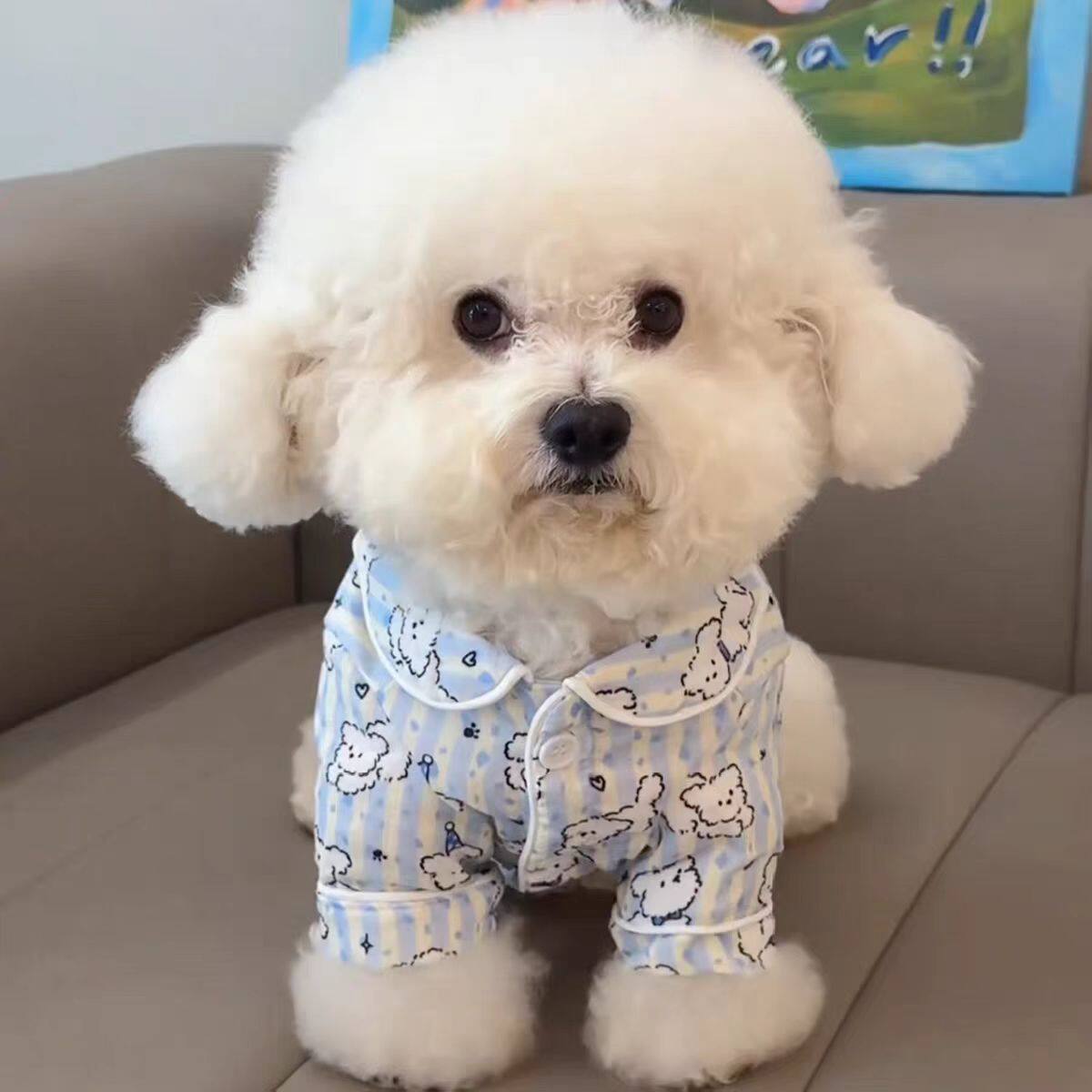 2026新款小型幼犬宠物衣服春夏薄款衬衫空调服猫咪狗狗保暖家居服