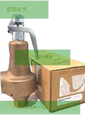 Nuovo SPENCE 0041HGA 蒸汽泄压阀