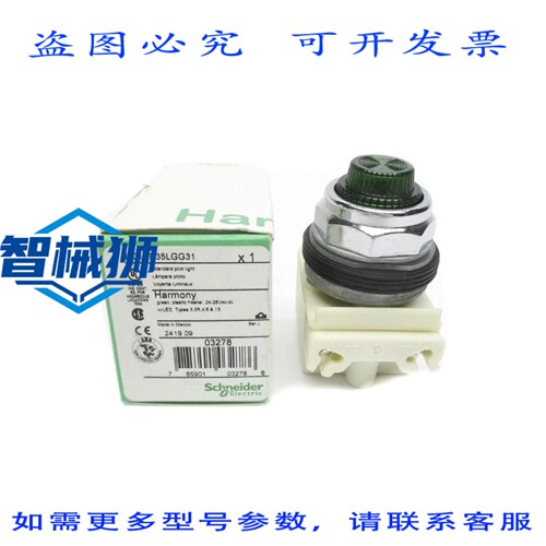 原装供应 9001KP35LGG31 SER.J 24-28VAC/DC NSMP