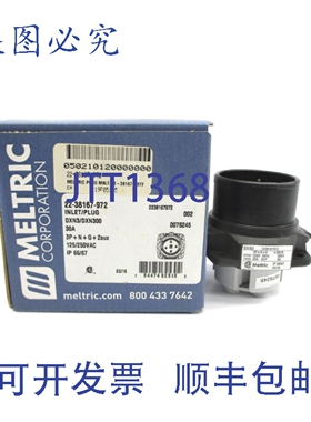 原装供应MELTRIC DXN3 22-38167-972 125/250VAC 30A NSMP