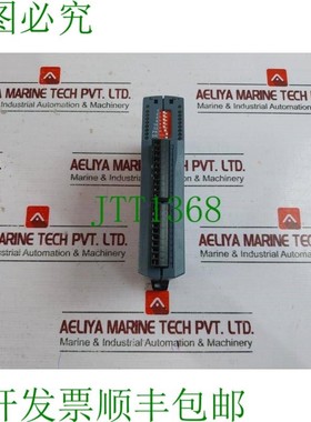 原装供应Trio Motion Technology P317-06496 CAN16 输出模块 2